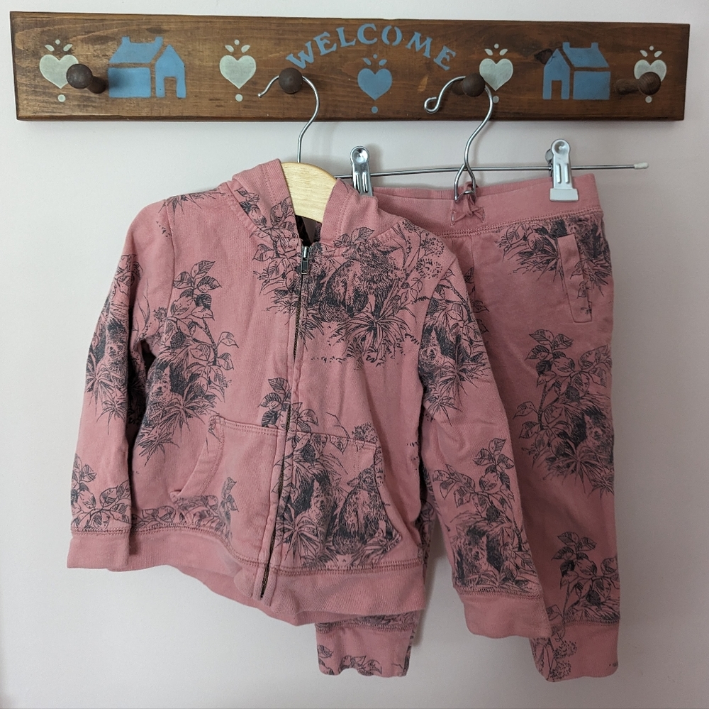 Baby Gap Toddler Sweatpant Set